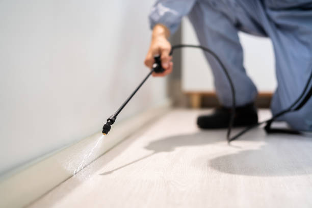 Bed Bug Pre-Treatment Preparation Assessment in Berryville